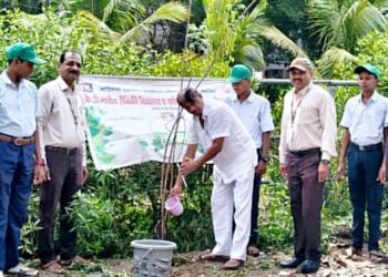 इको क्लब अंतर्गत सैनिकी विद्यालयात वृक्षारोपण