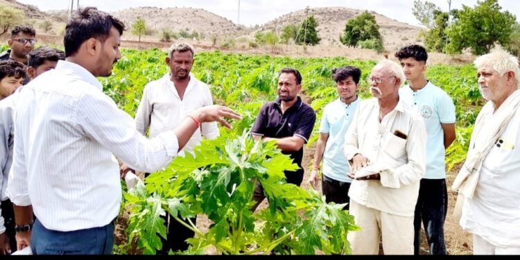 शासकीय कृषि महाविद्यालयातील विद्यार्थ्यांकडून जैविक कीड व्यवस्थापनाचे प्रात्यक्षिक