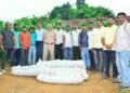दोन ठिकाणी गांजाची शेती उद्ध्वस्त; ६५ लाखांचा १३० किलो गांजा जप्त