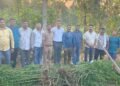 मोदरापाड्यात २९ लाखांचा गांजा हस्तगत